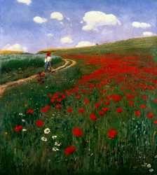 El campo de amapolas